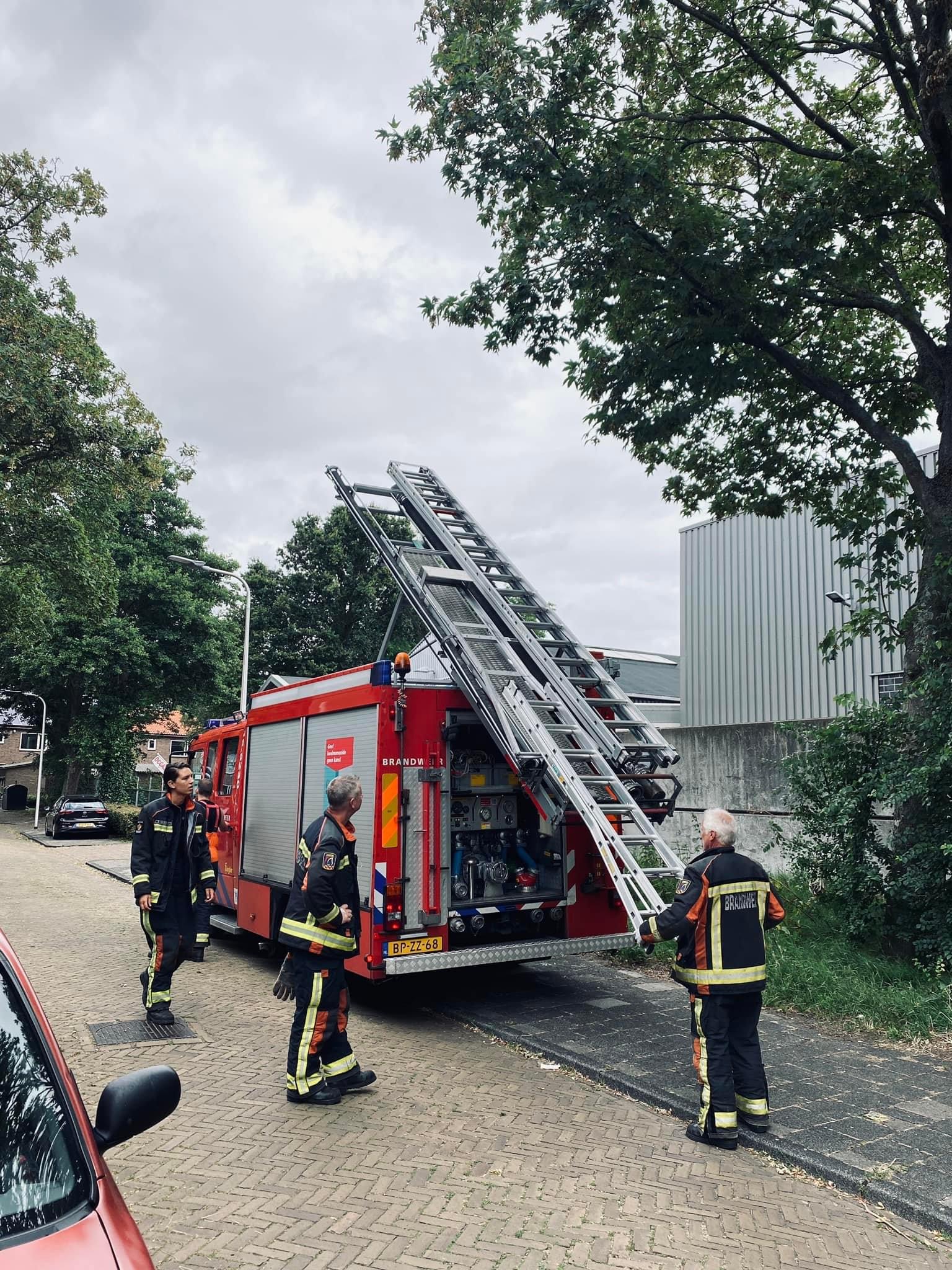 P 2 BDH-03 Dier op hoogte Joseph Elststraat Sassenheim 169230