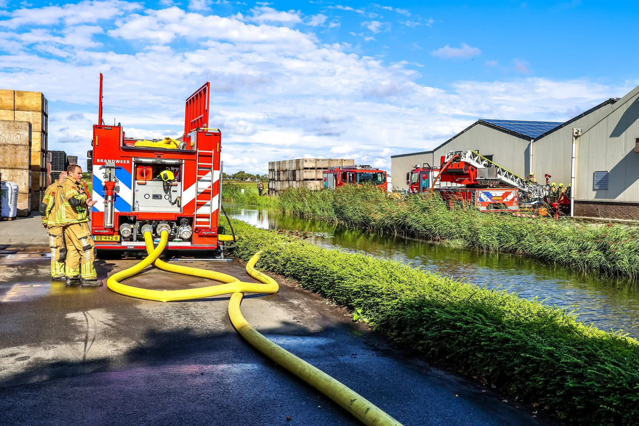 P 1 BDH-01 BR industrie (dak) Hyacinthenlaan Hillegom 161152 169191 161260 161130 161030