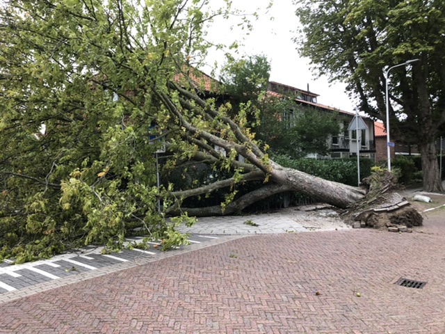 P 2 BDH-01 Stormschade (boom) Rusthofflaan Essenlaan SASSHM 161230