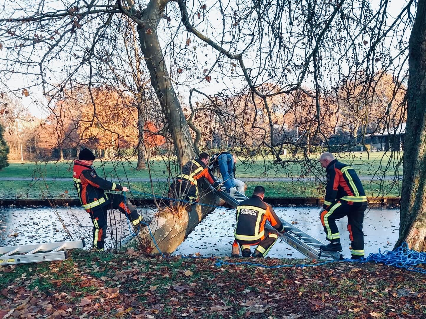 P 2 BDH-02 DV aan derden Park Rusthoff Sassenheim 161230