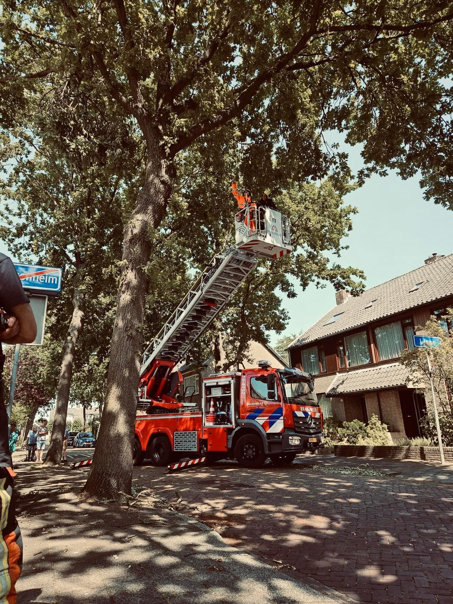 P 2 BDH-05 Stormschade (boom) Lijsterlaan Sassenheim 161230