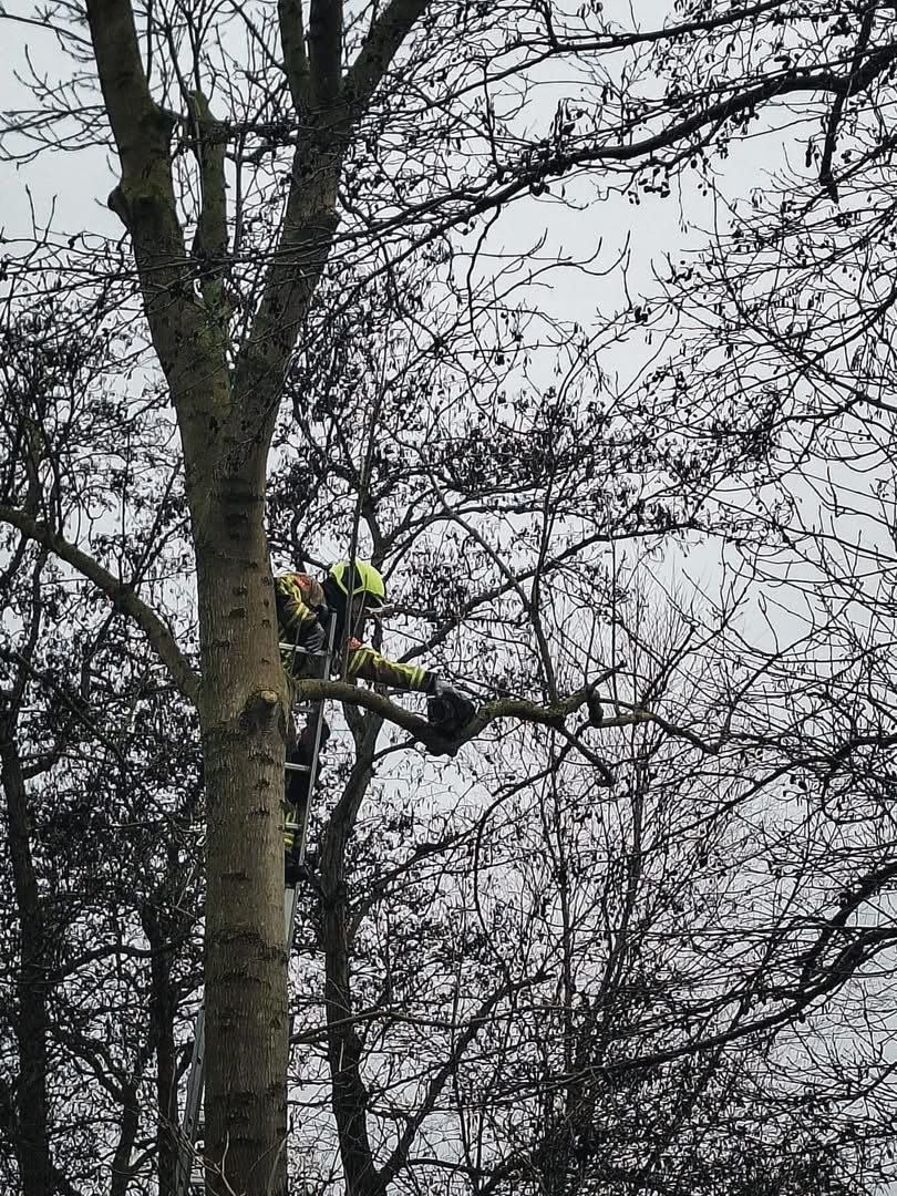 P 2 BDH-05 Dier op hoogte Kroftwegje Sassenheim 161230