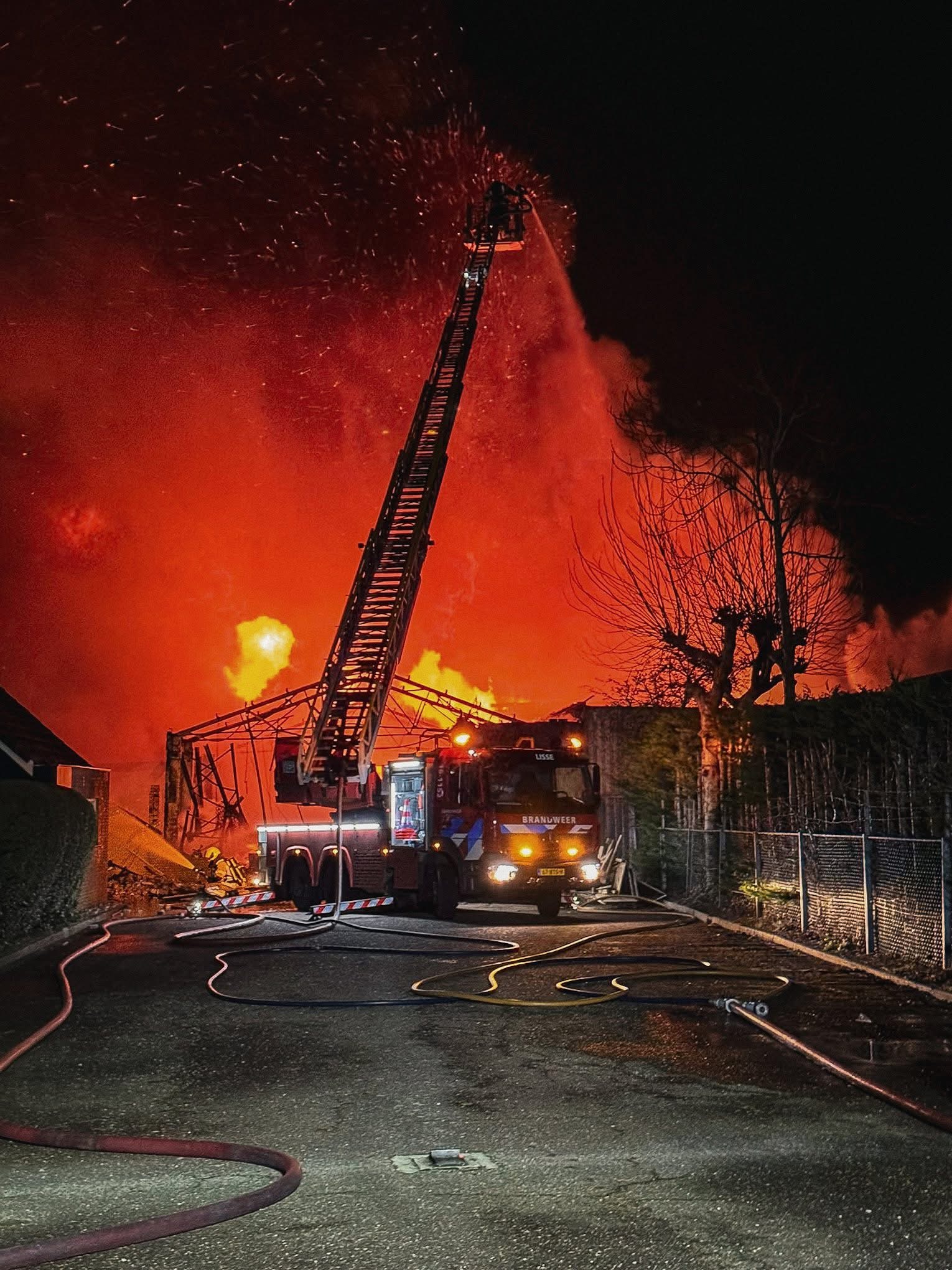 P 1 BDH-19 BR industrie (dak) Vivant Frank Evers Mariastraat Hillegom 161152 169191 161260 161030 123630