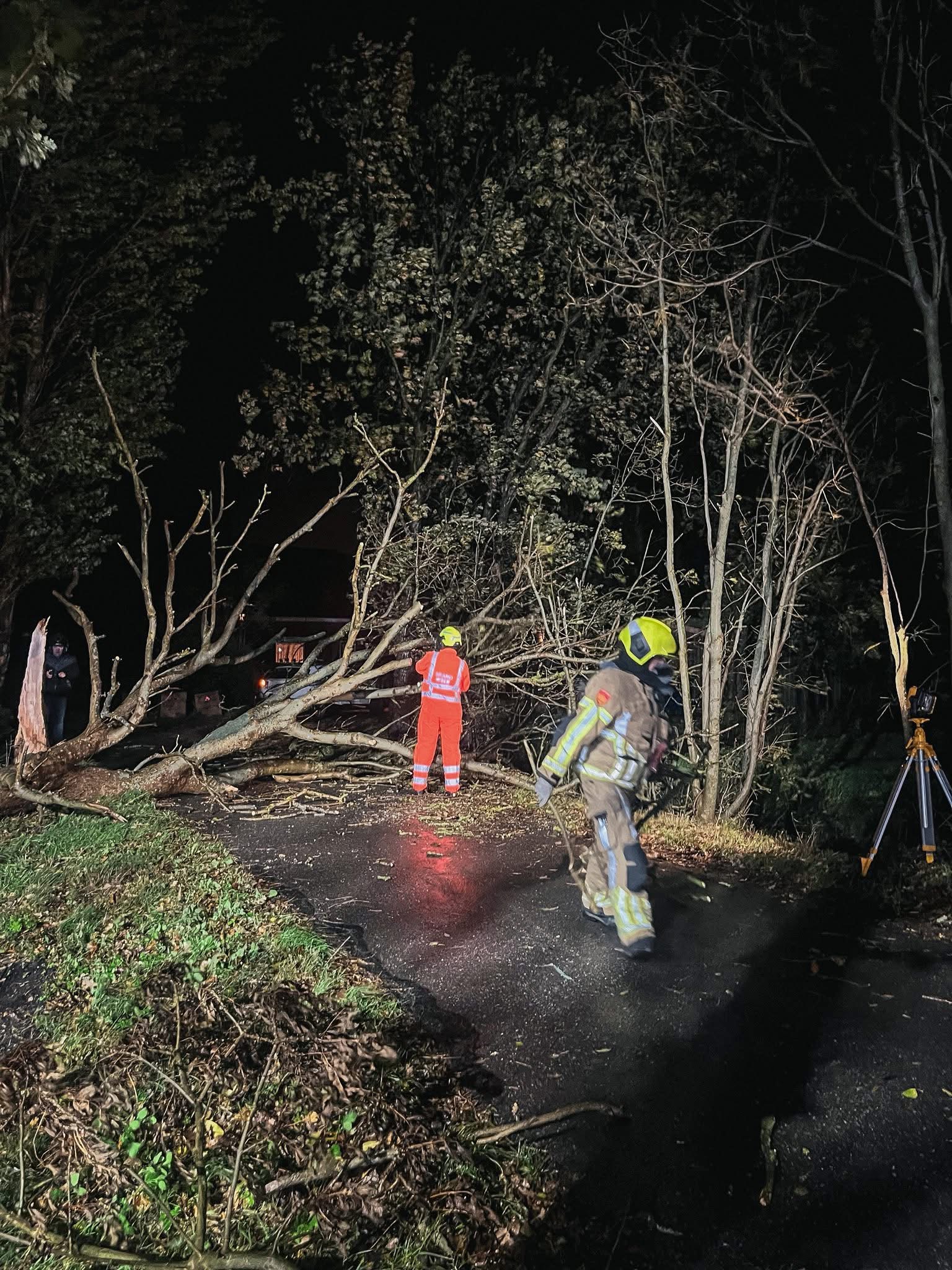 P 2 BDH-08 Stormschade (boom) Frank van Borselenlaan Voorhout 161230