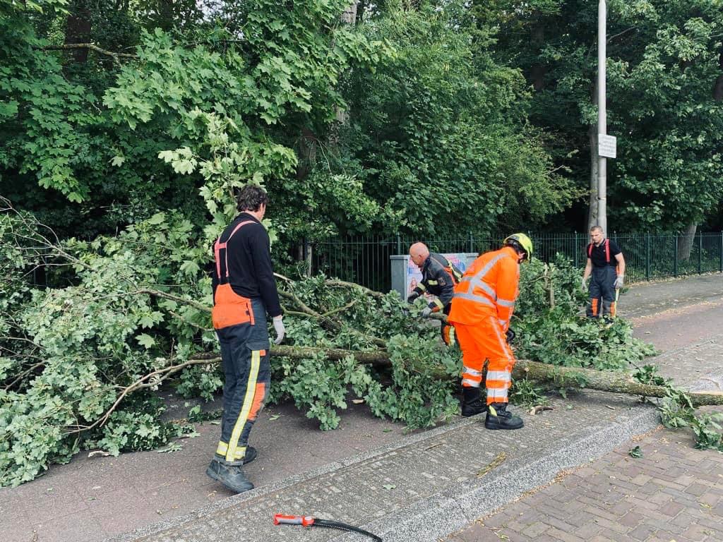 P 2 BDH-01 Stormschade (boom) Parklaan Sassenheim 161230