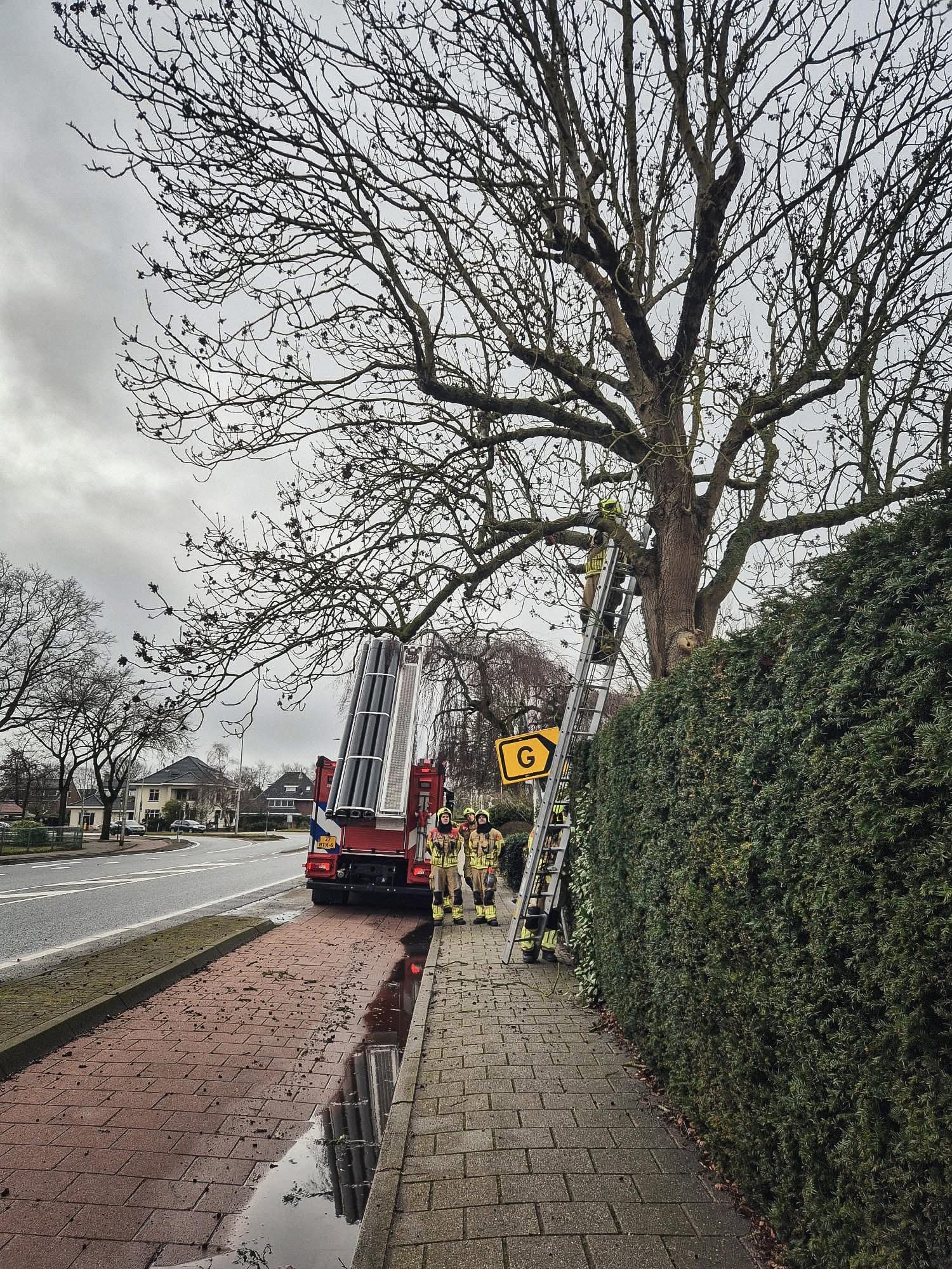 P 2 BDH-04 Ongeval (buiten) (boom) Hoofdstraat Sassenheim 161230