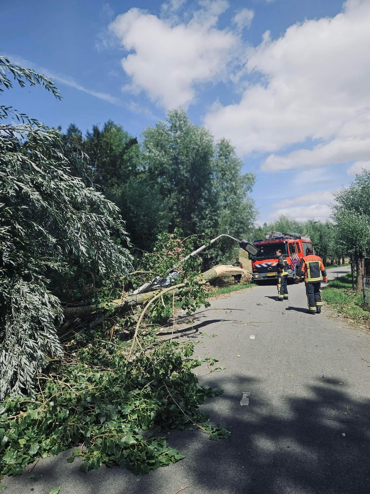 P 2 BDH-03 Stormschade (boom) Leiden - Sassenheim Sassenheim 169230