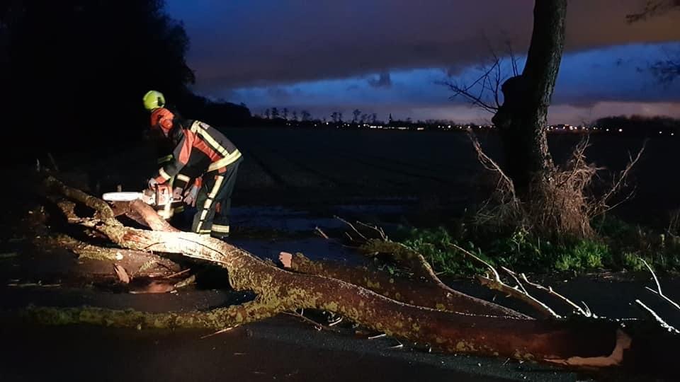 P 2 BDH-06 Stormschade (boom) Essenlaan LISSE 161230